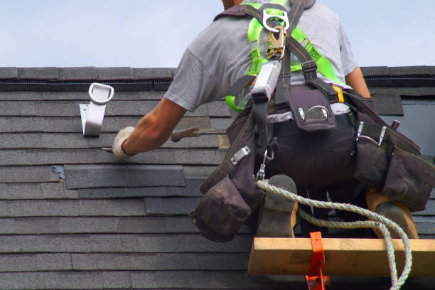 Best Roof Installation Near Me  in Olivia, MN
