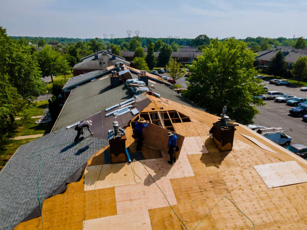 Best Flat Roof Repair Services  in Olivia, MN