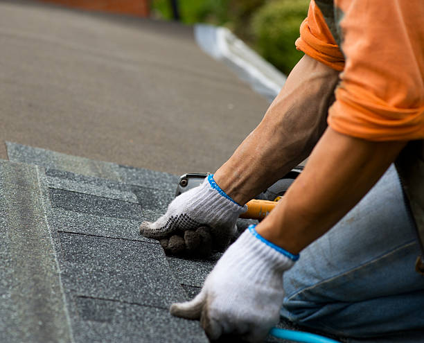 Best Emergency Roof Repair  in Olivia, MN
